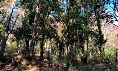 Parcela Sector BellaVista a 5 min del centro de Pucón