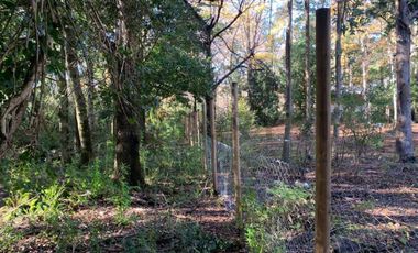 Parcela Sector BellaVista a 5 min del centro de Pucón