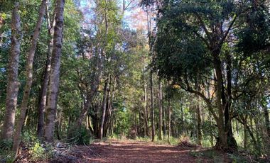 Parcela Sector BellaVista a 5 min del centro de Pucón