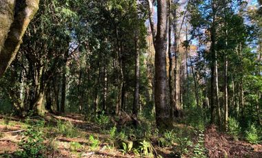Parcela Sector BellaVista a 5 min del centro de Pucón
