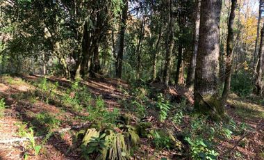 Parcela Sector BellaVista a 5 min del centro de Pucón