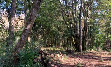 Parcela Sector BellaVista a 5 min del centro de Pucón