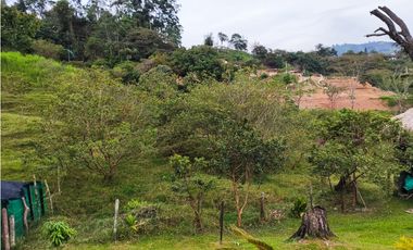 Lote en Venta en Amagá sector Camilo C