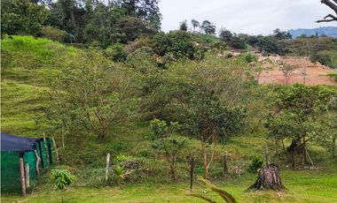 Lote en Venta en Amagá sector Camilo C