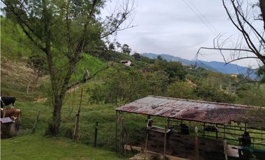 Lote en Venta en Amagá sector Camilo C