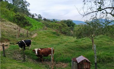 Lote en Venta en Amagá sector Camilo C