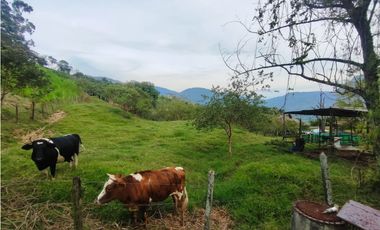 Lote en Venta en Amagá sector Camilo C