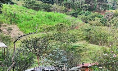 Lote en Venta en Amagá sector Camilo C