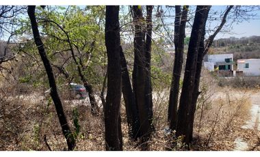 Terreno en venta La Joya 