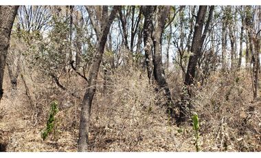 Terreno en venta La Joya 