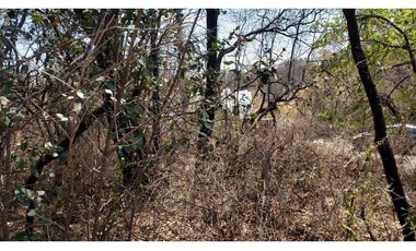 Terreno en venta La Joya 