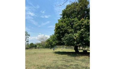 VENTA DE TRES HECTREAS CON CASA CAMPESTRE EN MARTINEZ, CERETE
