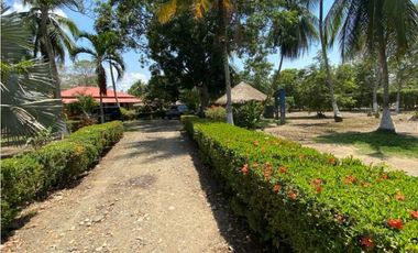 VENTA DE TRES HECTREAS CON CASA CAMPESTRE EN MARTINEZ, CERETE