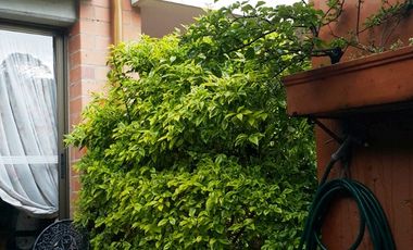 casa en venta en camino verde. Cod V3823