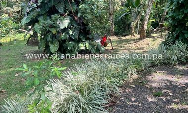 Venta de finca en Chorrera