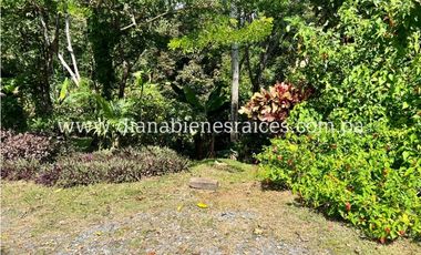 Venta de finca en Chorrera