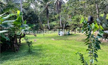 Venta de finca en Chorrera