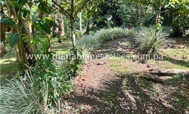 Venta de finca en Chorrera