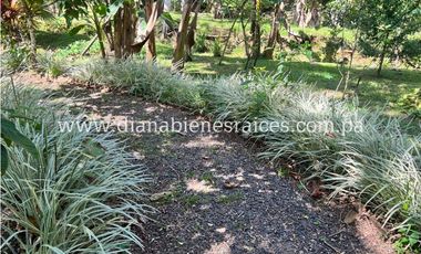Venta de finca en Chorrera
