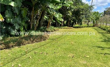 Venta de finca en Chorrera