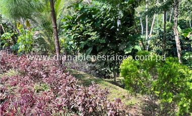 Venta de finca en Chorrera