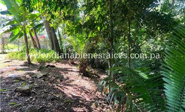 Venta de finca en Chorrera