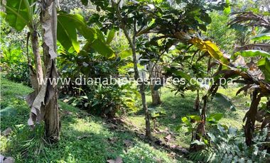 Venta de finca en Chorrera