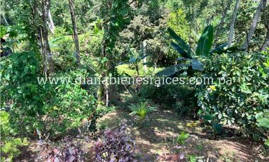 Venta de finca en Chorrera