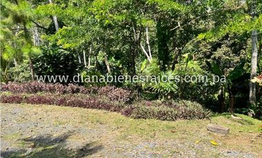 Venta de finca en Chorrera