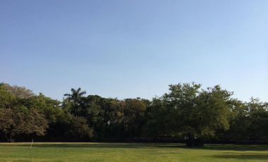 A un paso de la avenida principal