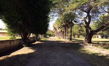 A un paso de la avenida principal