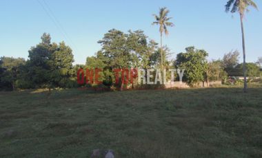 RESIDENTIAL LOT FOR SALE IN TALAY DUMAGUETE CITY, NEGROS ORIENTAL