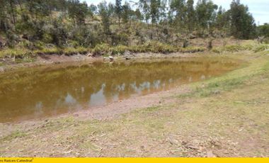 Terreno de venta en Quingeo – código:12464