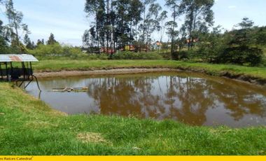 Terreno de venta en Quingeo – código:12464