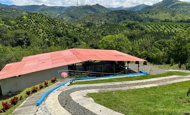 FINCA EN VENTA EN PALESTINA