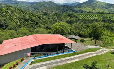 FINCA EN VENTA EN PALESTINA