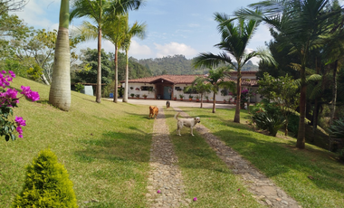 finca en venta en vereda el chuscal. Cod V400622
