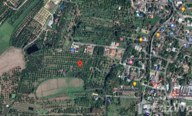 Land for sale in Chomphu, Chiang Mai