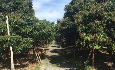 Land for sale in Chomphu, Chiang Mai