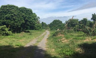 Land for sale in Chomphu, Chiang Mai