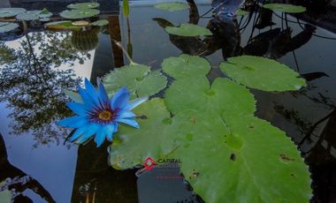 Casa de Lujo Venta Bosque de los Lagos Zona Andares Zapopan