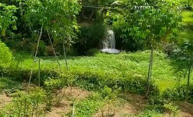 Jual tanah murah ada air mengalir pinggir jalan hotmik Ganjarsari cisomang Cikalong wetan kab Bandung barat