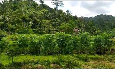 Jual tanah murah ada air mengalir pinggir jalan hotmik Ganjarsari cisomang Cikalong wetan kab Bandung barat