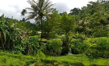 Jual tanah murah ada air mengalir pinggir jalan hotmik Ganjarsari cisomang Cikalong wetan kab Bandung barat