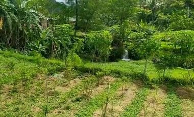 Jual tanah murah ada air mengalir pinggir jalan hotmik Ganjarsari cisomang Cikalong wetan kab Bandung barat