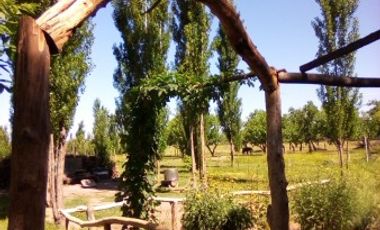 HERMOSO TERRENO DE 1,1 HECTAREA CON CABAÃA ECOLOGICA