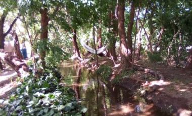 HERMOSO TERRENO DE 1,1 HECTAREA CON CABAÃA ECOLOGICA