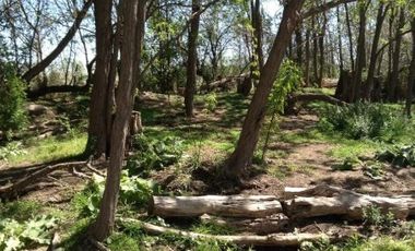 HERMOSO TERRENO DE 1,1 HECTAREA CON CABAÃA ECOLOGICA
