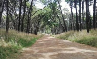 VENTA Lote Necochea