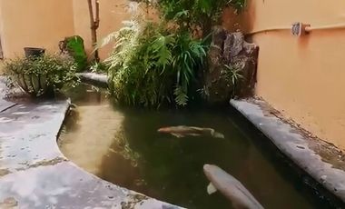 Casa en venta en coto en Colinas de San Javier
